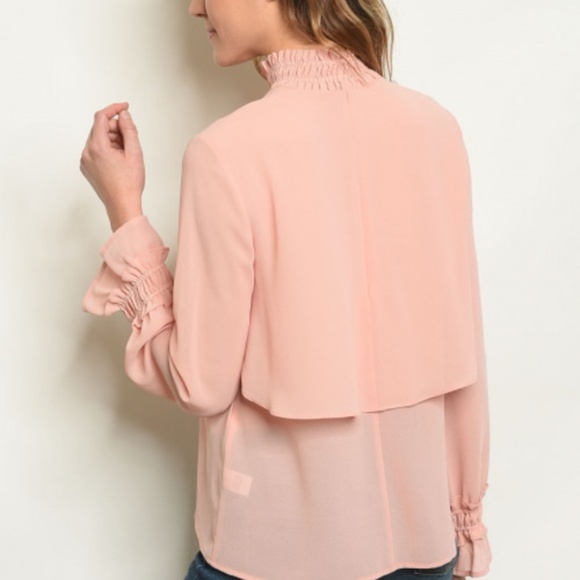 Chic As Ever Blush Chiffon Blouse - Picture 3 of 3